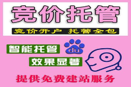 百度竞价代运营的成功案例：从零到一的突破